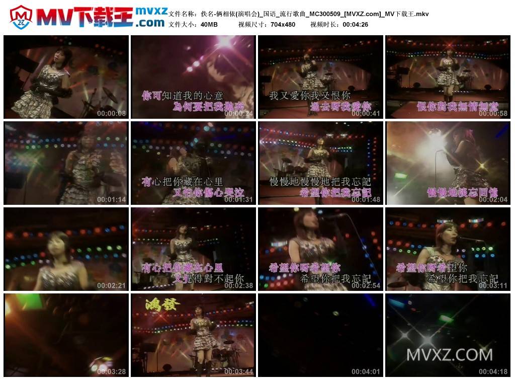 佚名-俩相依(演唱会)_国语_流行歌曲_MC300509
